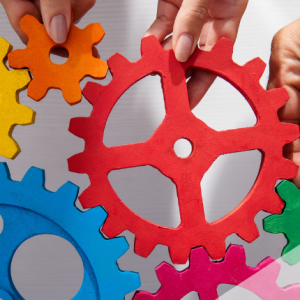 Team Structures Shape Systems